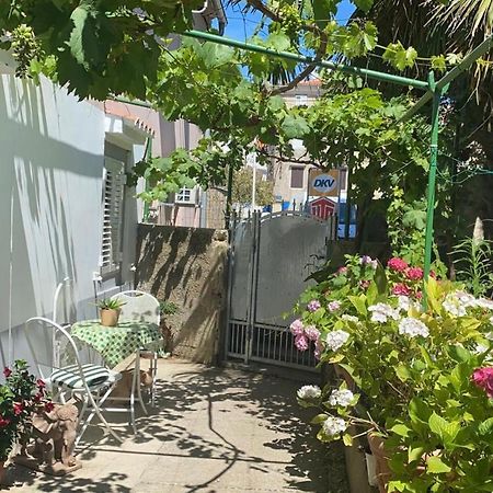 Apartman Annamaria Cres Exteriér fotografie